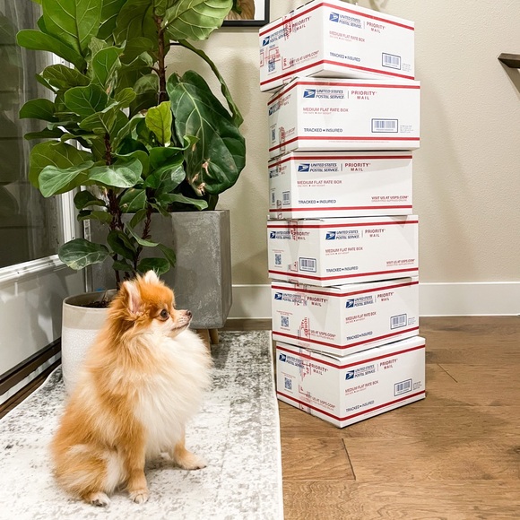 Meet your Posher, Joy and Jill - Picture 6 of 13